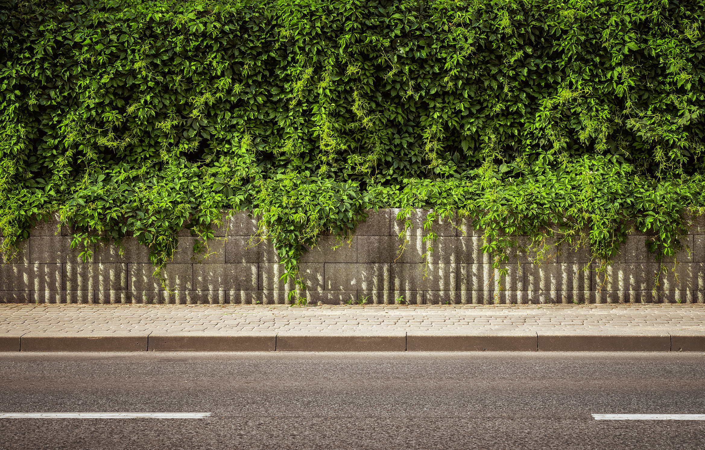 Empty street background